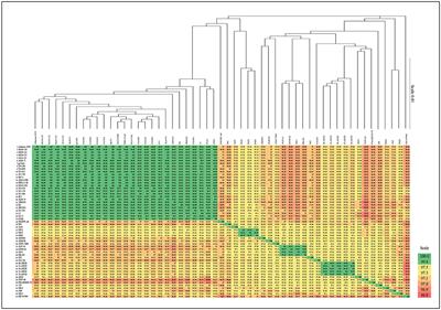 Comparative Genomics of Aeromonas hydrophila Secretion Systems and Mutational Analysis of hcp1 and vgrG1 Genes From T6SS